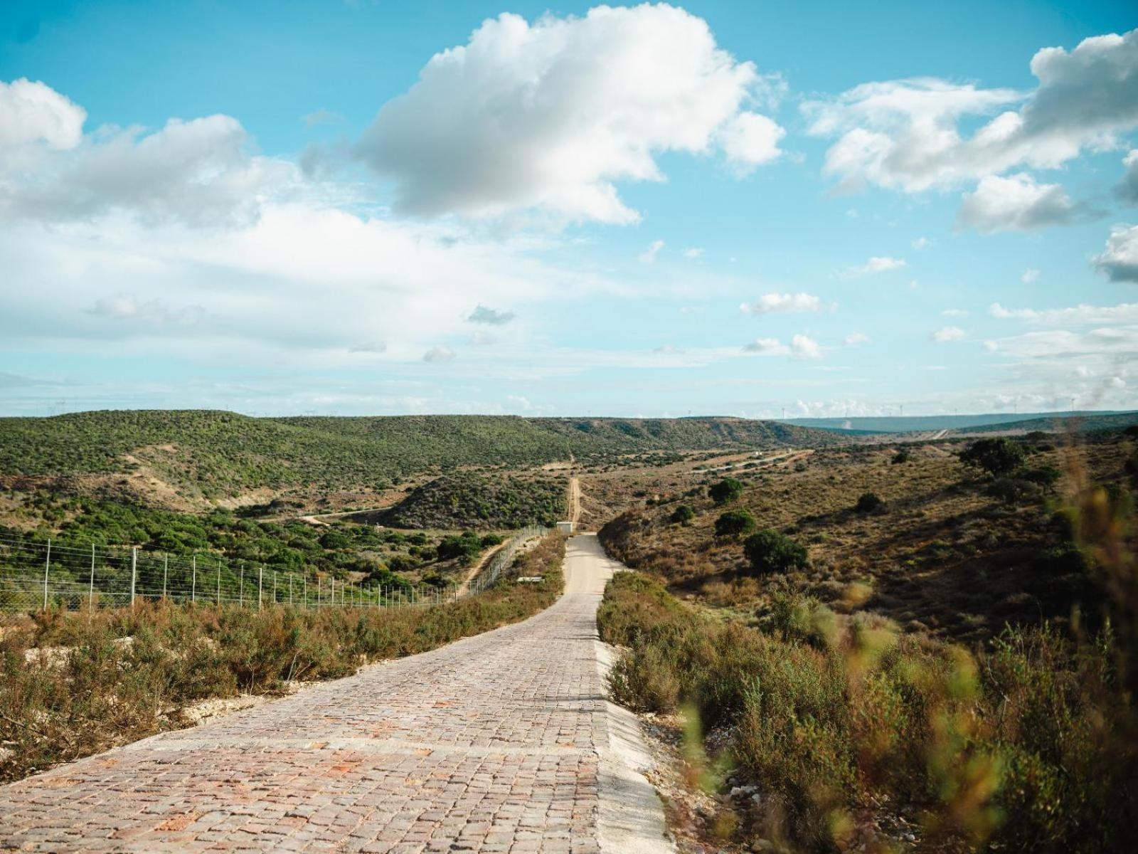 Longhill Reserve Addo Esterno foto
