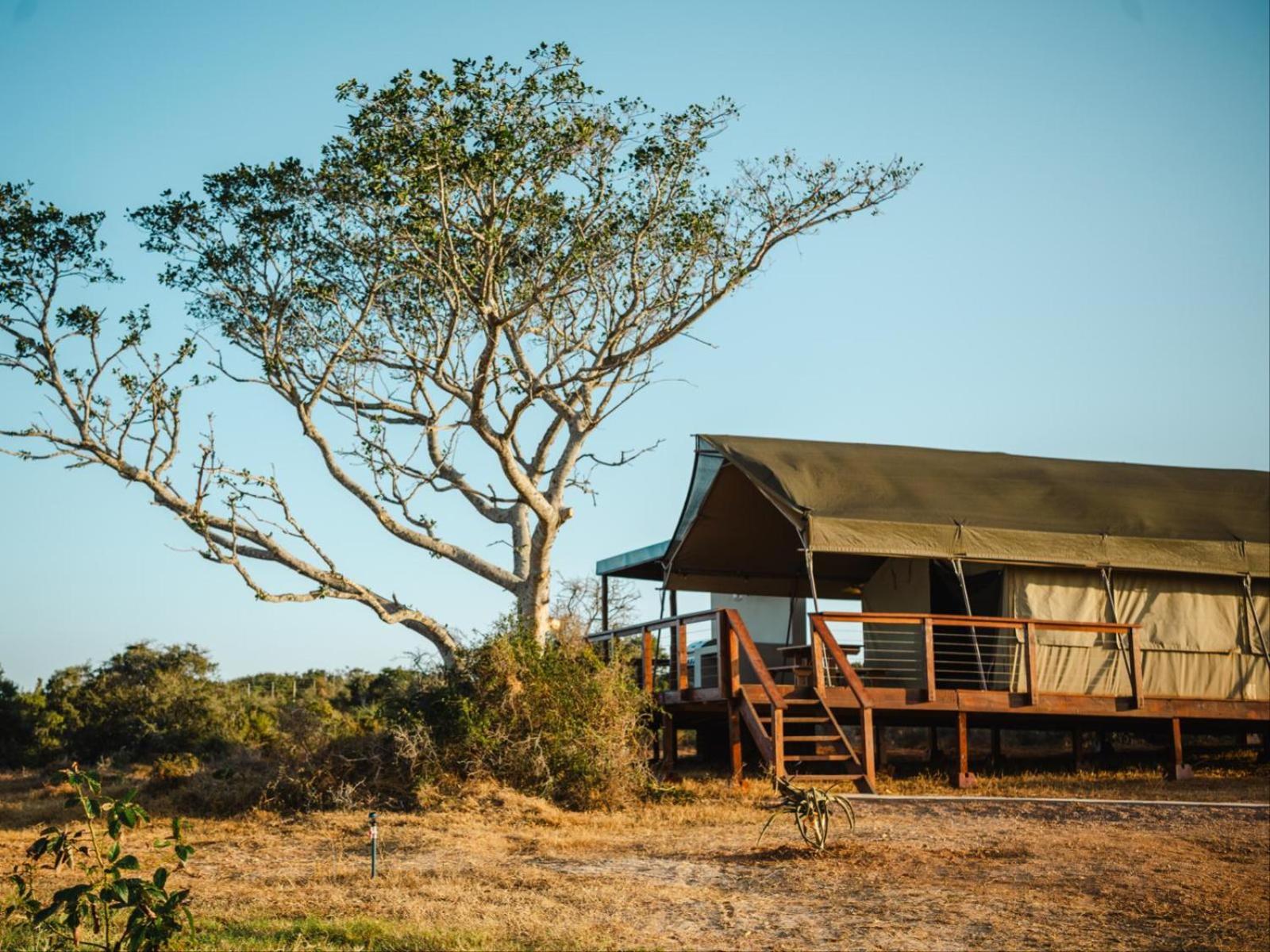 Longhill Reserve Addo Esterno foto