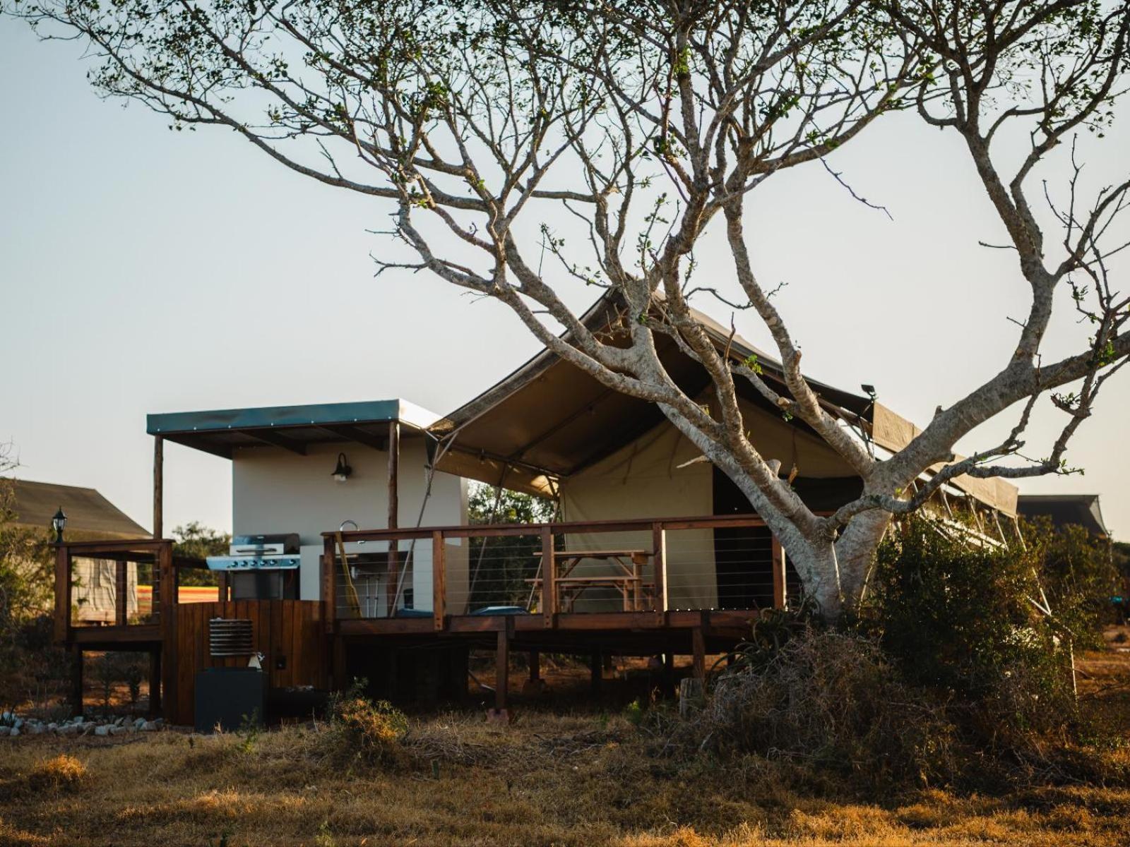 Longhill Reserve Addo Esterno foto
