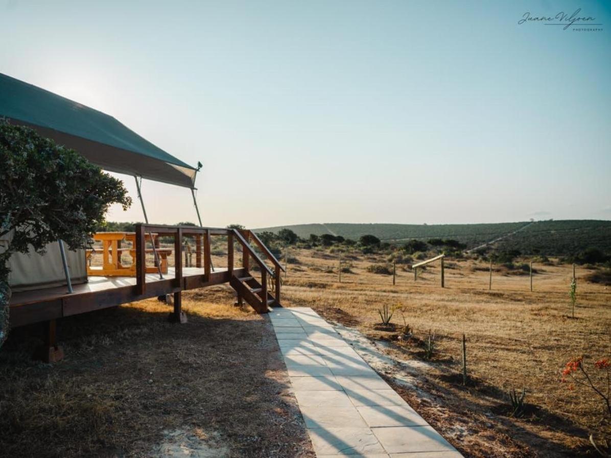 Longhill Reserve Addo Esterno foto