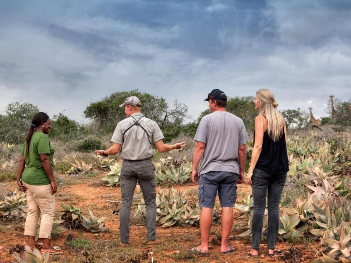 Longhill Reserve Addo Esterno foto