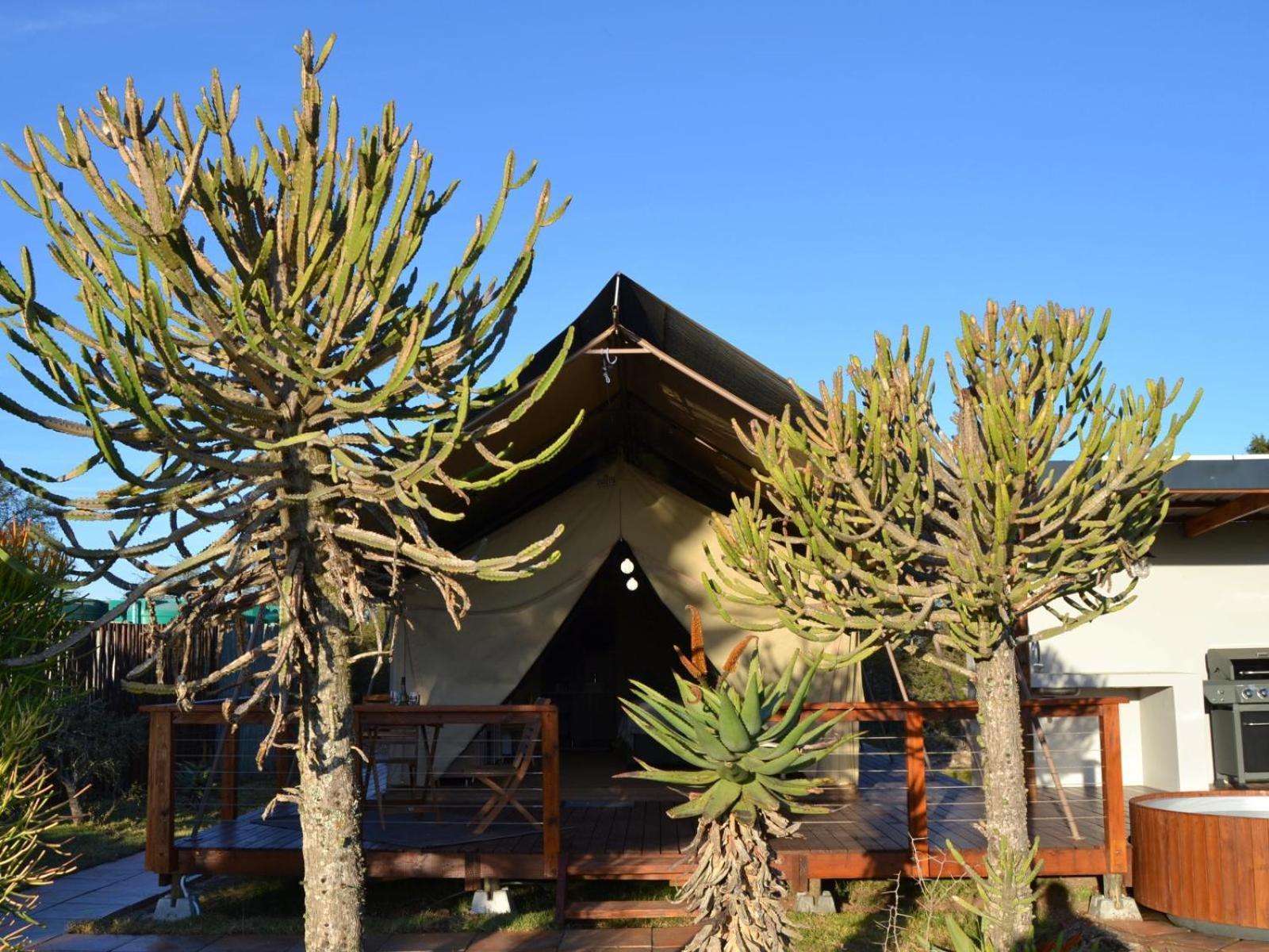 Longhill Reserve Addo Esterno foto
