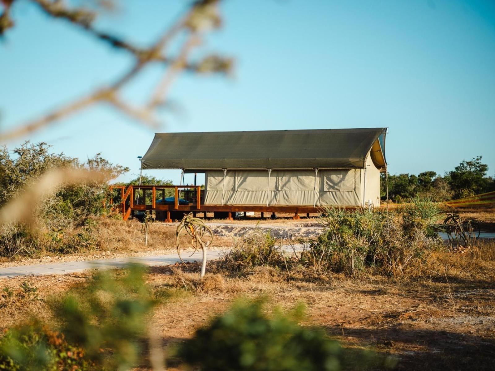 Longhill Reserve Addo Esterno foto