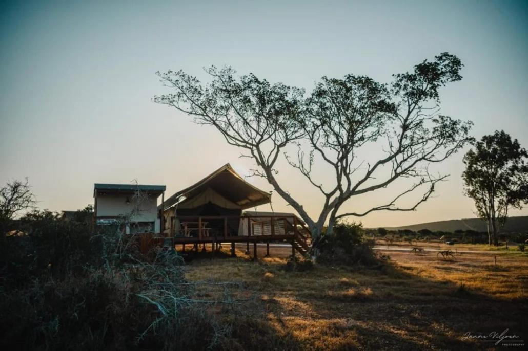 Longhill Reserve Addo Esterno foto